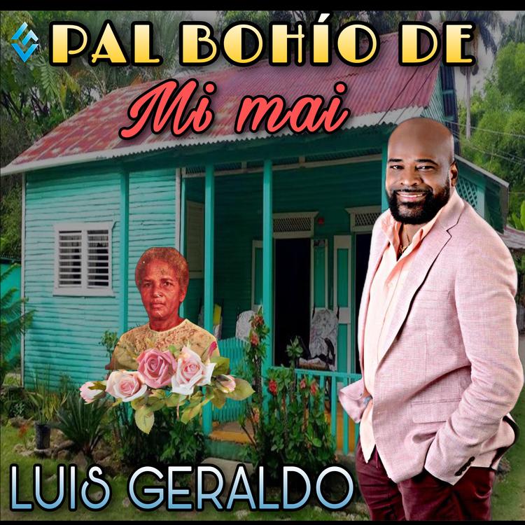 Luis Geraldo's avatar image