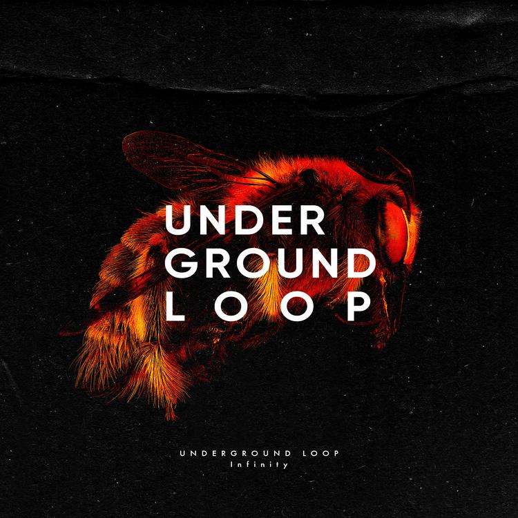 Loopool Underground's avatar image
