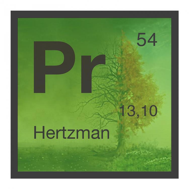 Hertzman's avatar image