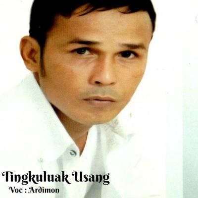 Tingkuluak Usang's cover