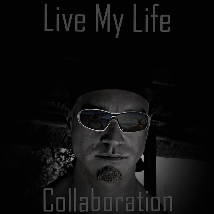 Collaboration's avatar image