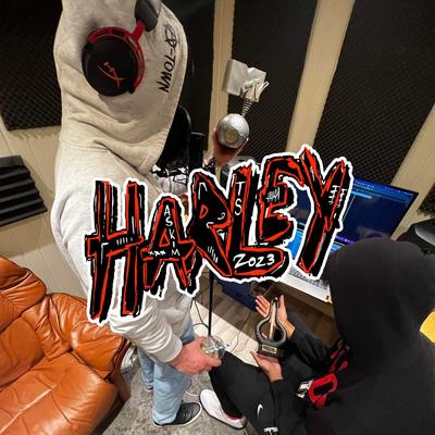 Harley 2023 (Hjemmesnekk)'s cover