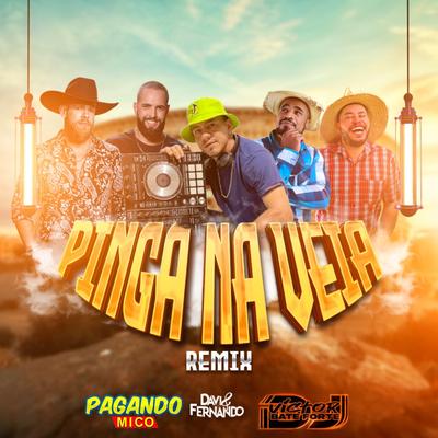 Pinga Na Veia (Remix)'s cover