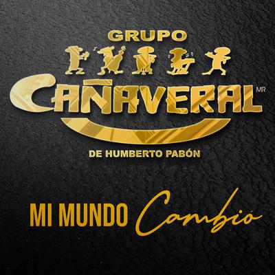 Mi Mundo Cambió's cover