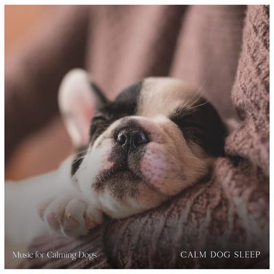 Calm Dog Sleep By Music for Calming Dogs's cover