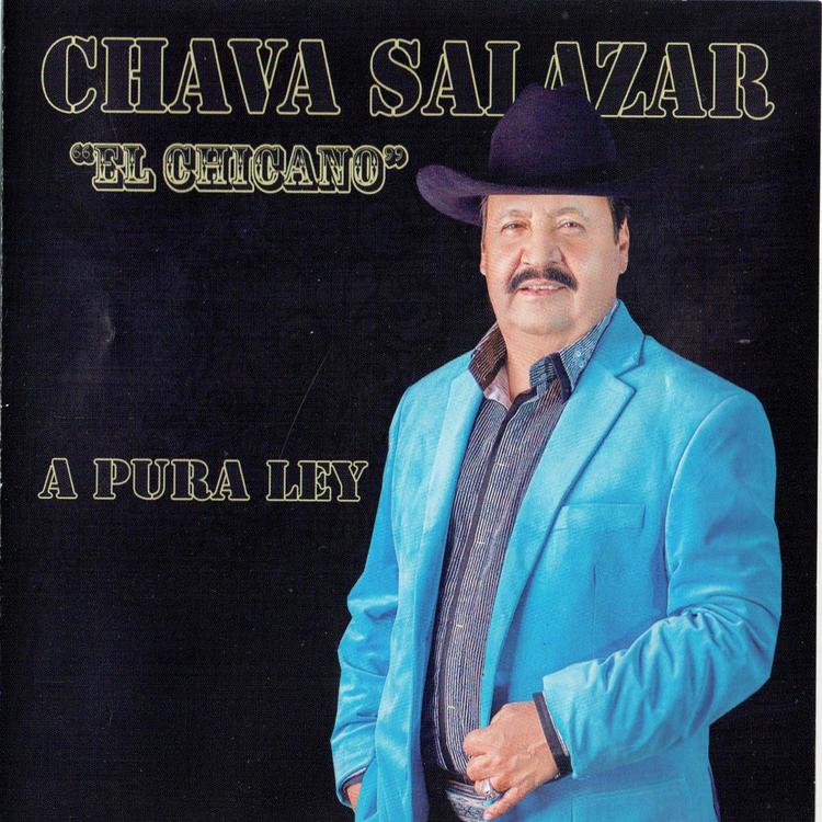 CHAVA SALAZAR EL CHICANO's avatar image