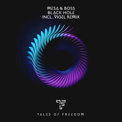 Black Hole (Vigel Remix) By Mesa & Boss's cover