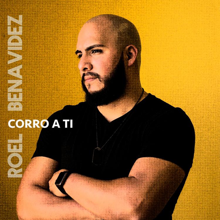 Roel Benavidez's avatar image