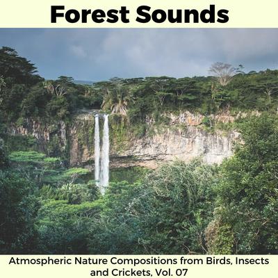 Forest Sounds - Atmospheric Nature Compositions from Birds, Insects and Crickets, Vol. 07's cover