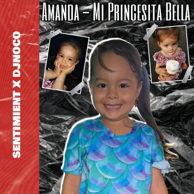 Amanda (Mi Princesita)'s cover