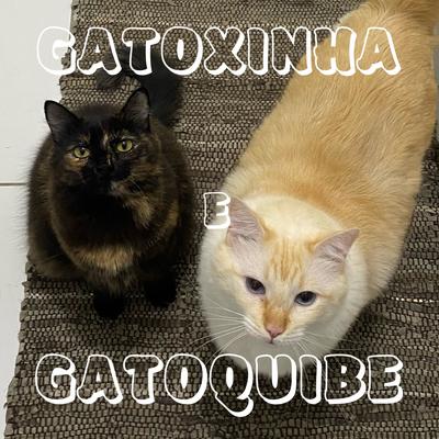 Gatoxinha e Gatoquibe By Gatoxinha's cover