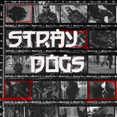 STRAYDOGS (Superior Sessions Live)'s cover