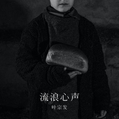 流浪心声's cover