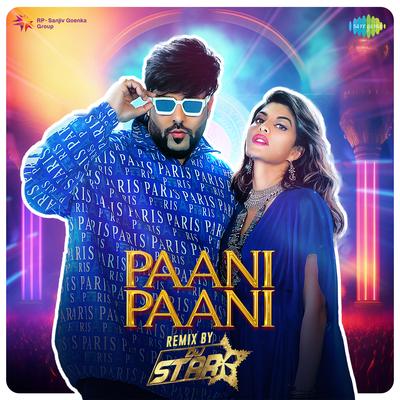 Paani Paani - Remix's cover