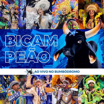 Profética (Ao Vivo) By Boi Bumbá Caprichoso, Patrick Araujo's cover