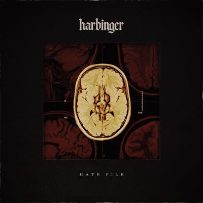 Hate File By Harbinger's cover