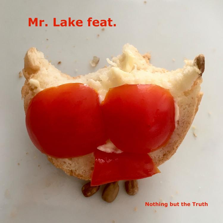 Mr. Lake feat.'s avatar image