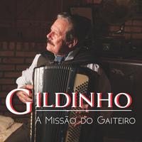 Gildinho's avatar cover