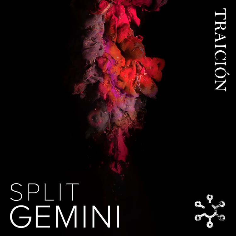 Split Gemini's avatar image