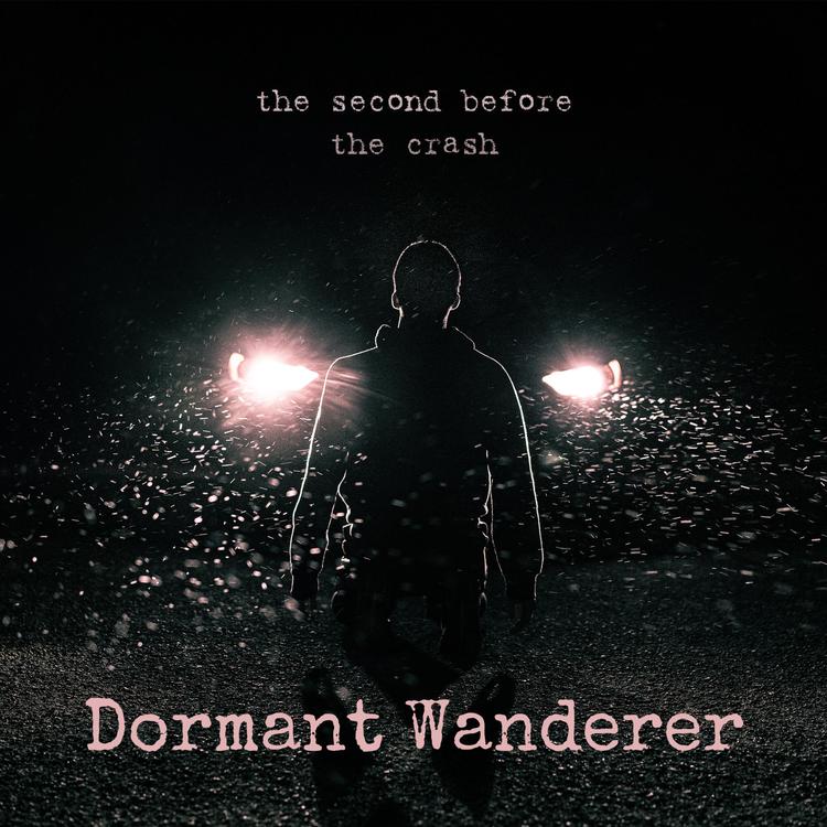 Dormant Wanderer's avatar image