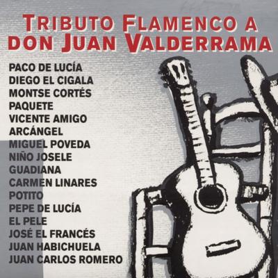 Tributo Flamenco A Don Juan Valderrama's cover