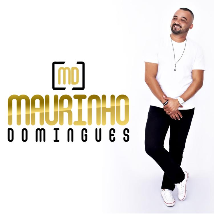 Maurinho Domingues's avatar image