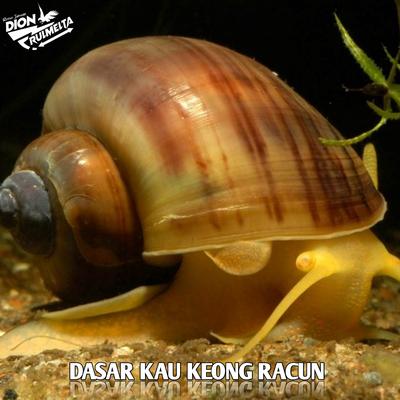 DJ KEONG RACUN - DASAR KAU KEONG RACUN = DUTCH's cover