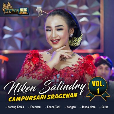 Campursari Sragenan Niken Salindry Vol. 1's cover