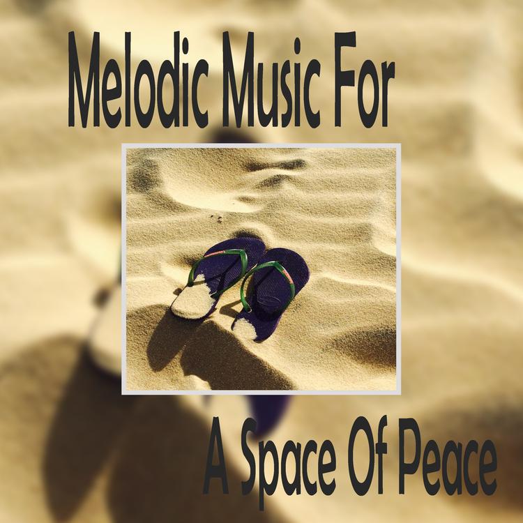 Melodic Music For A Space's avatar image