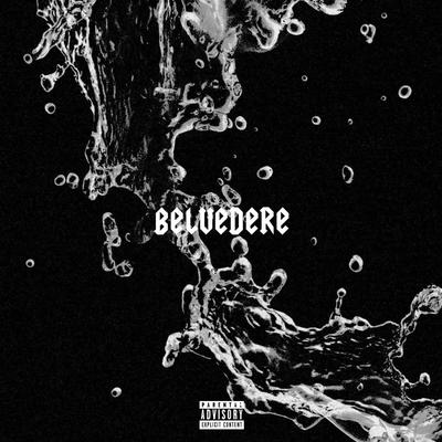 BELVEDERE's cover