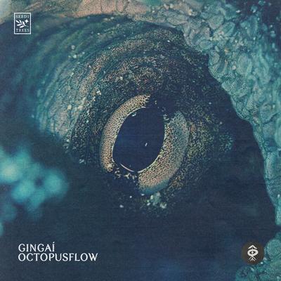 Octopus Flow By Gingaí's cover