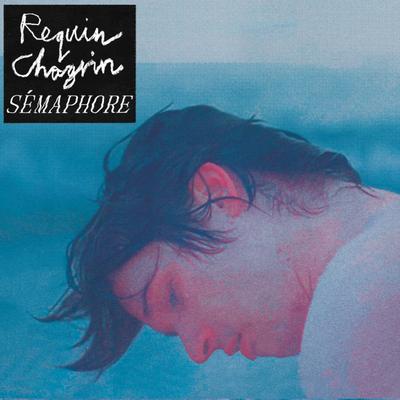 Clairvoyance By Requin Chagrin's cover