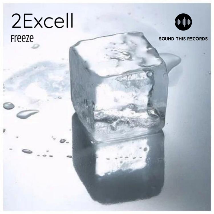 2excell's avatar image