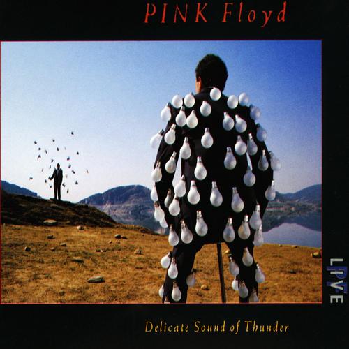 Pink floyd's cover