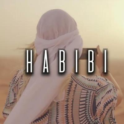 Fly Habibi By Doan Mulla's cover