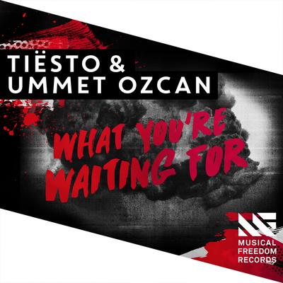 What You're Waiting For By Tiësto, Ummet Ozcan's cover