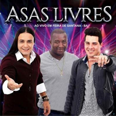 Pra Fazer Amor (Ao Vivo) By Asas Livres's cover