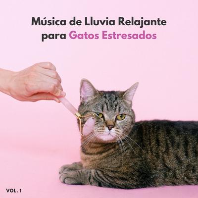 Música De Lluvia Relajante Para Gatos Estresados Vol. 1's cover