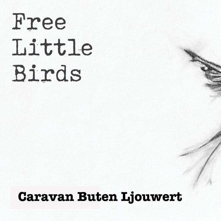 Free Little Birds's avatar image