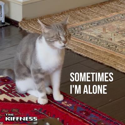 Sometimes I'm Alone (Lonely Cat)'s cover