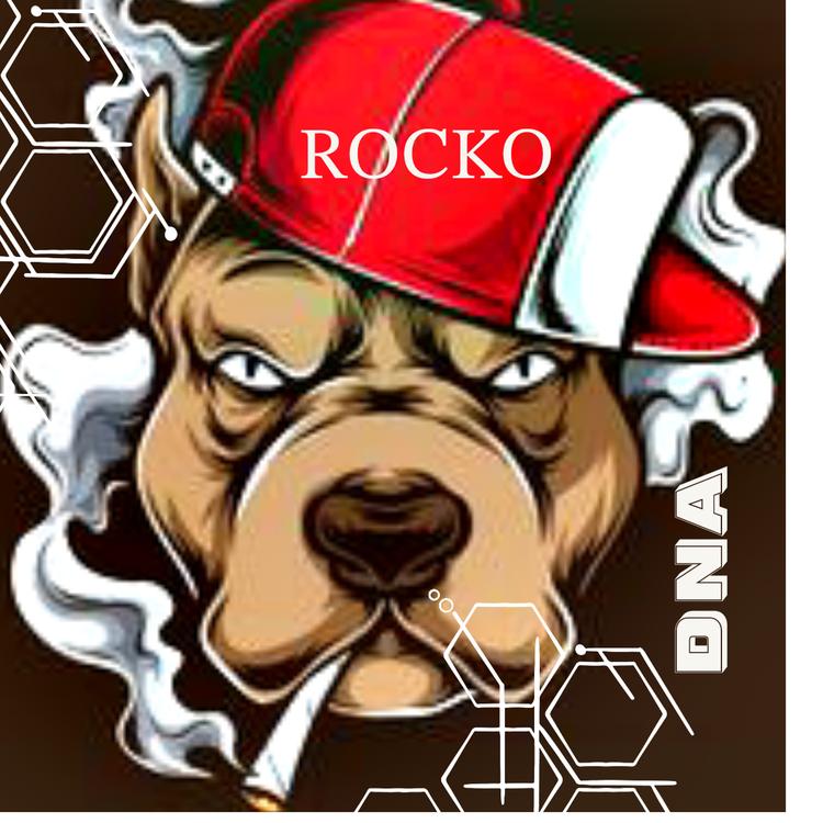 ROCKO's avatar image