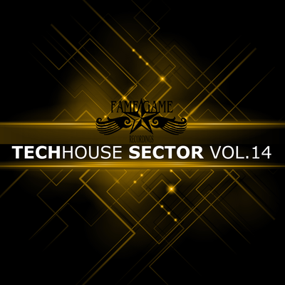 Techhouse Sector, Vol. 14's cover