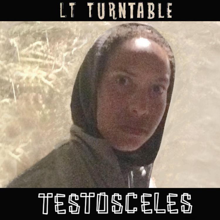 LT Turntable's avatar image