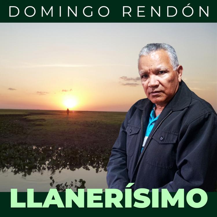 Domingo Rendon's avatar image