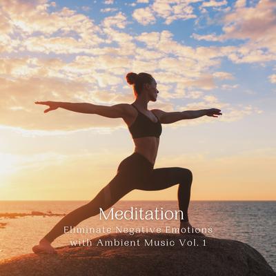 Meditation: Eliminate Negative Emotions with Ambient Music Vol. 1's cover