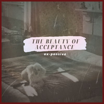 The Beauty of Acceptance By ex-pansive's cover