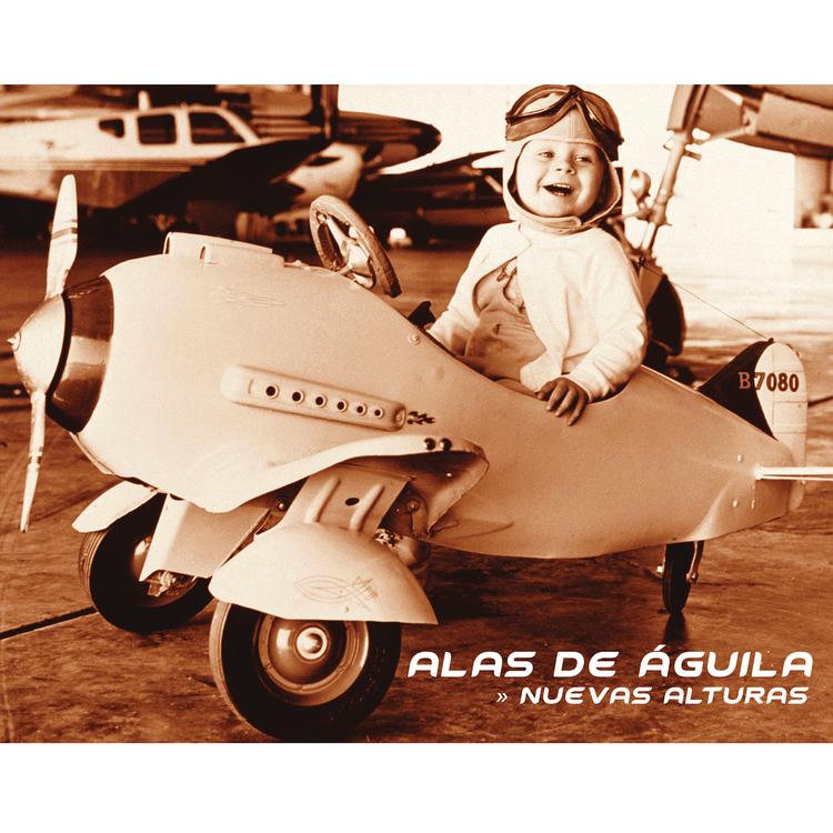 Alas de Águila's avatar image