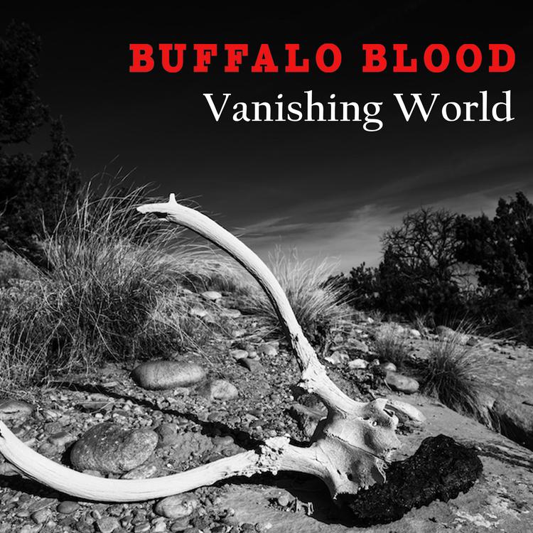 Buffalo Blood's avatar image