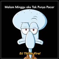 Dj TikTok Viral's avatar cover