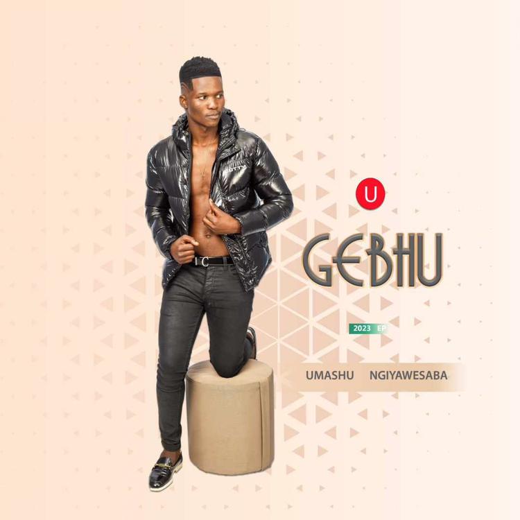 UGebhu's avatar image